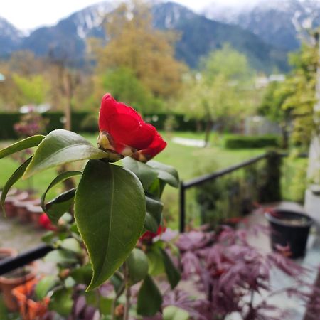 Premier Pahalgam Hotell Exteriör bild